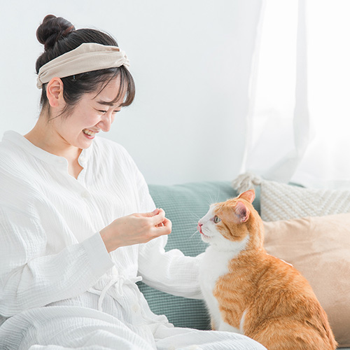 完全な猫の飼い主ガイド：愛するペットと最高の生活を楽しむ方法