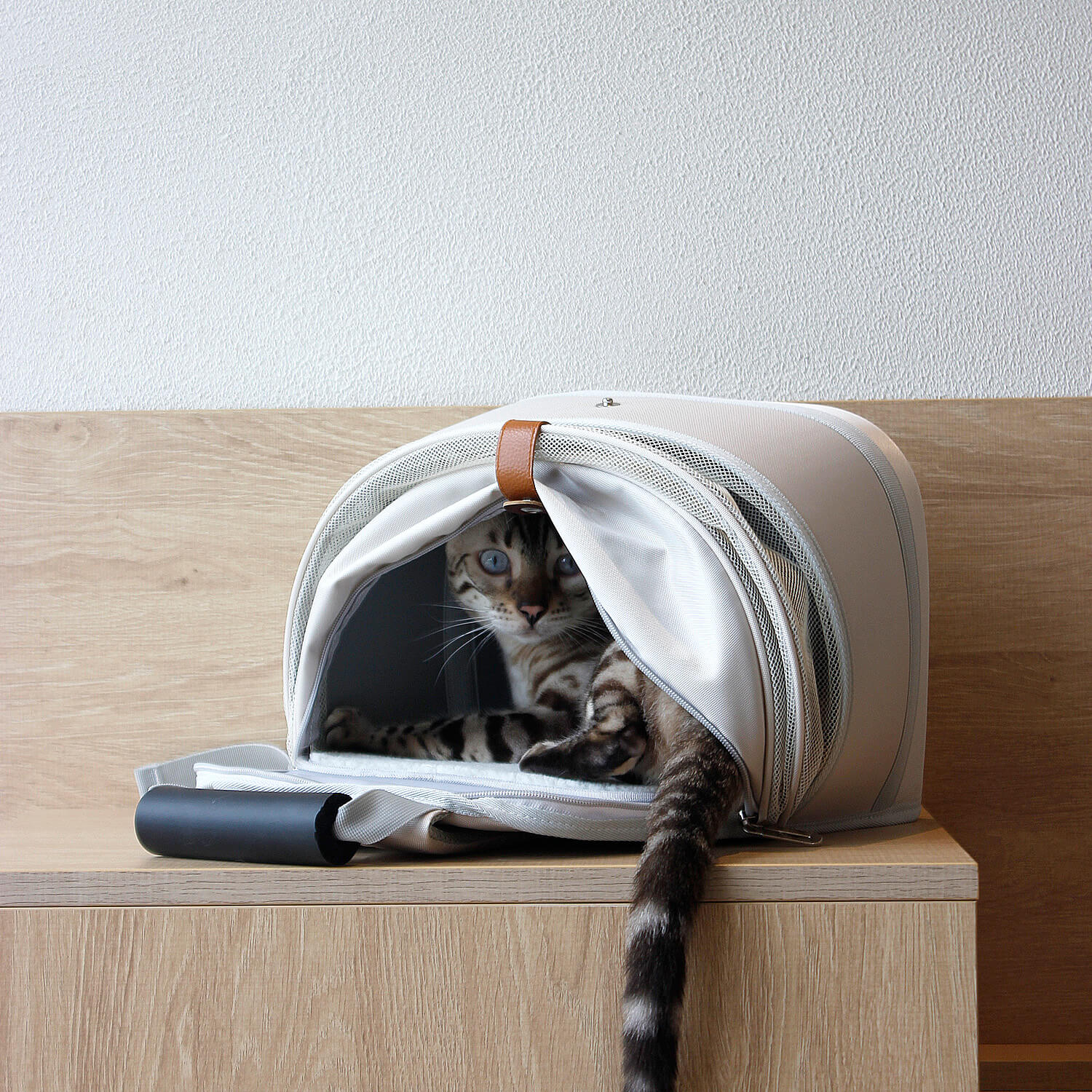 「愛犬との新たな冒険 – PETTENAのペットバックパック」