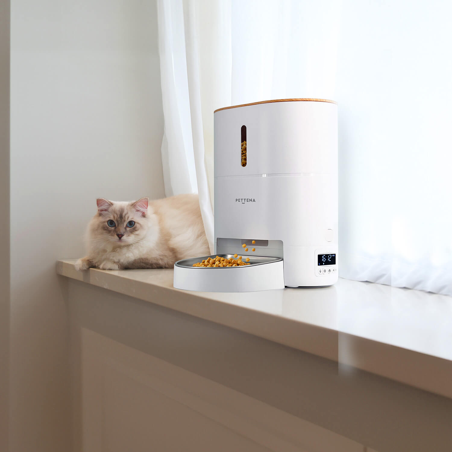 愛猫とあなたの夜間を快適に – PETTENAの最新ペットフィーダー