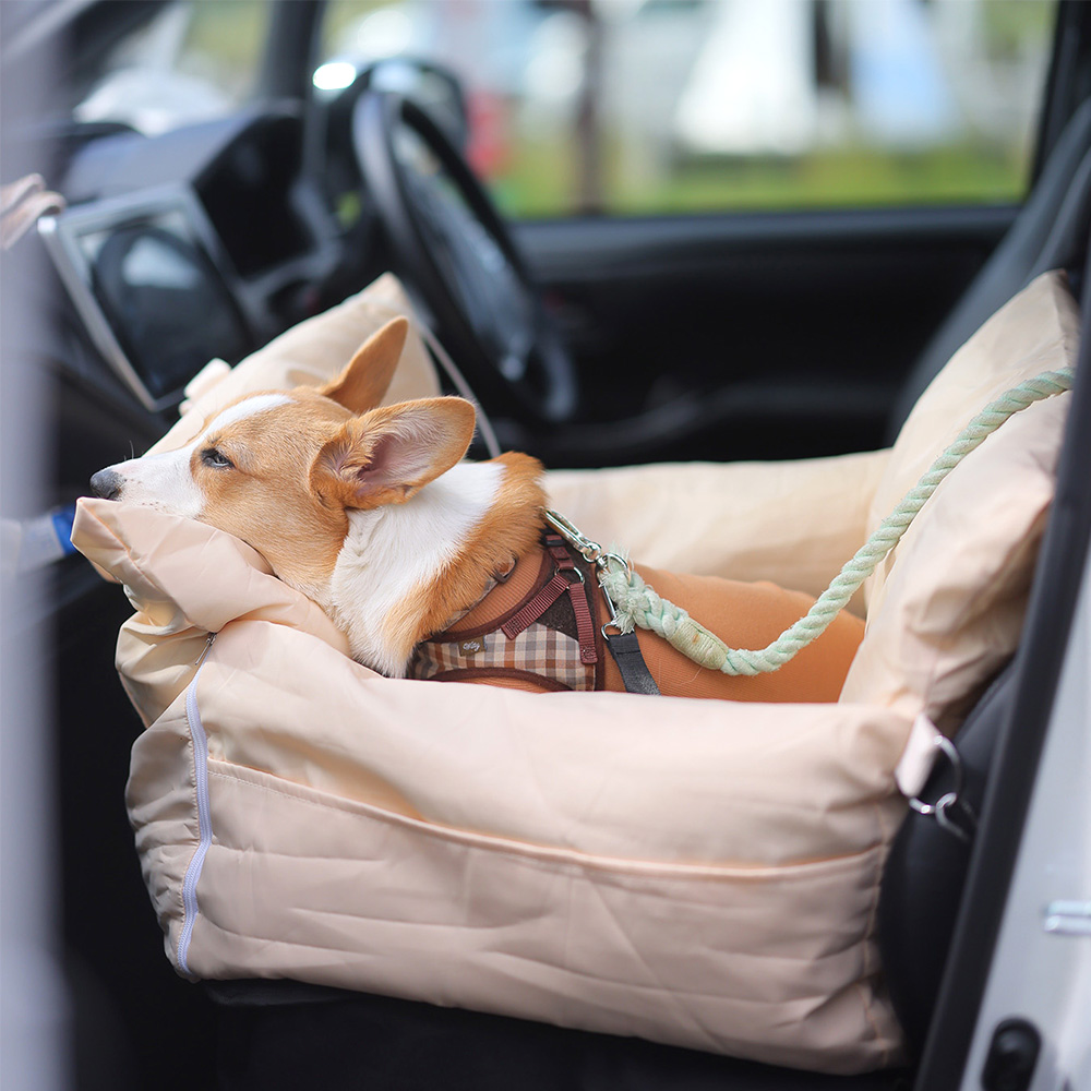 犬が吠えまくり、暴れるのは大きなストレスのサイン！ストレスを解消するには、飼い主が毎日散歩に連れて行くことが大切です